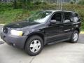 2003 Black Clearcoat Ford Escape XLT V6 4WD  photo #1