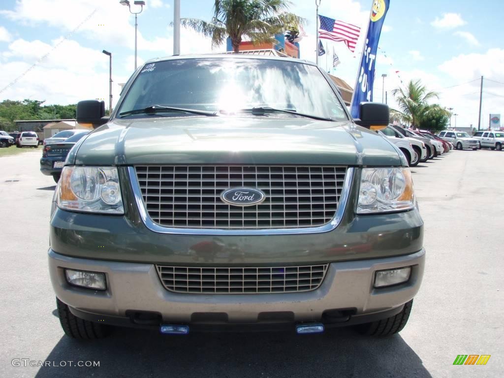 2003 Expedition Eddie Bauer 4x4 - Estate Green Metallic / Medium Parchment photo #9