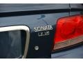 Ardor Blue - Sonata LX V6 Photo No. 6