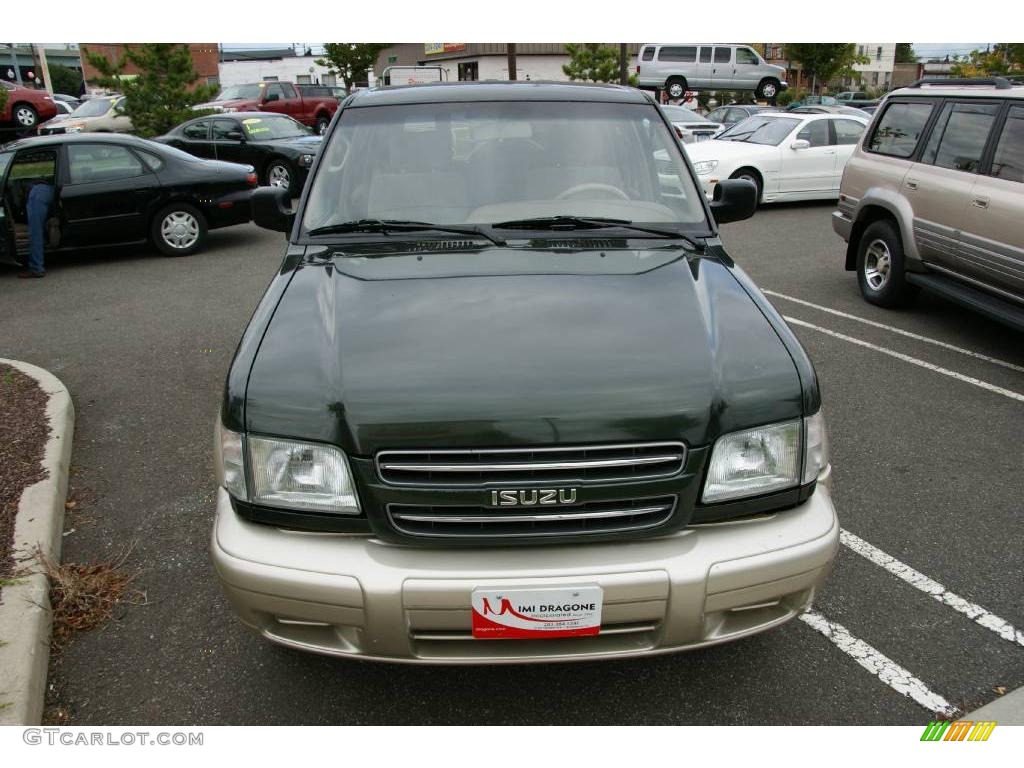 2002 Trooper LS 4x4 - Dragon Green Mica / Beige photo #2