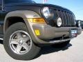 2005 Dark Khaki Pearl Jeep Liberty Renegade 4x4  photo #2