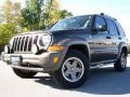 2005 Dark Khaki Pearl Jeep Liberty Renegade 4x4  photo #5