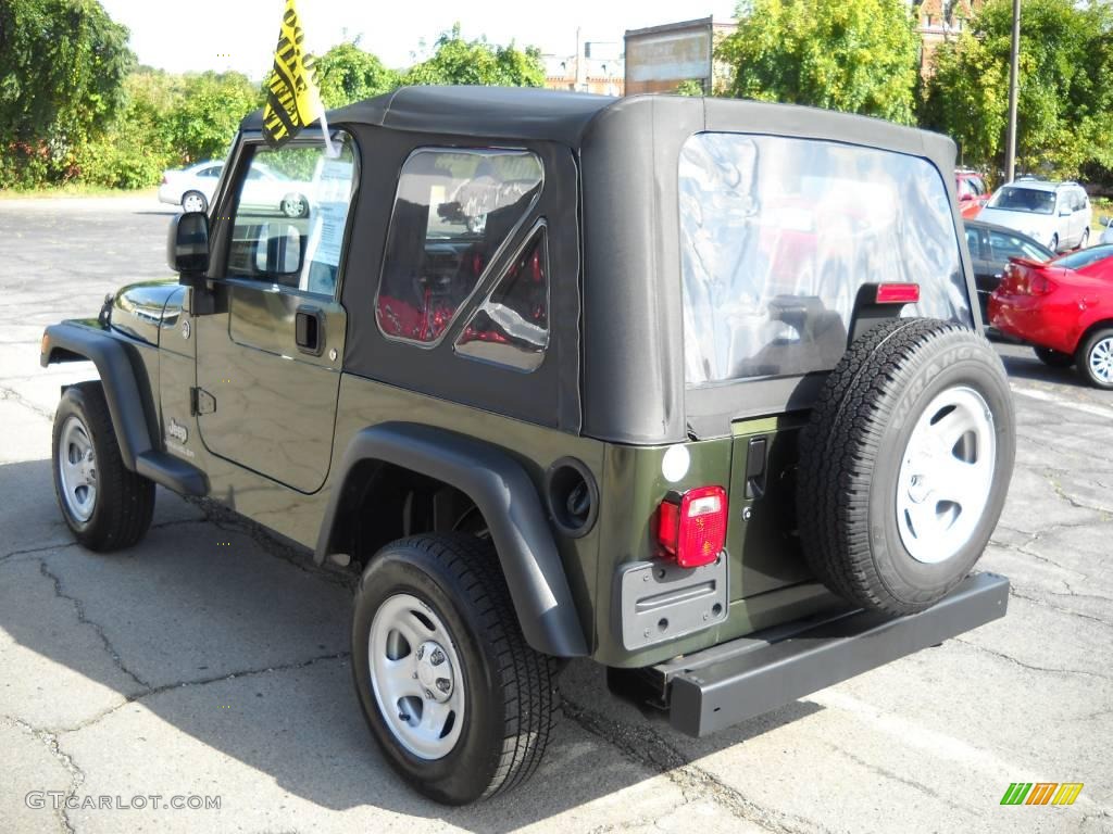 2006 Wrangler SE 4x4 - Jeep Green Metallic / Dark Slate Gray photo #4