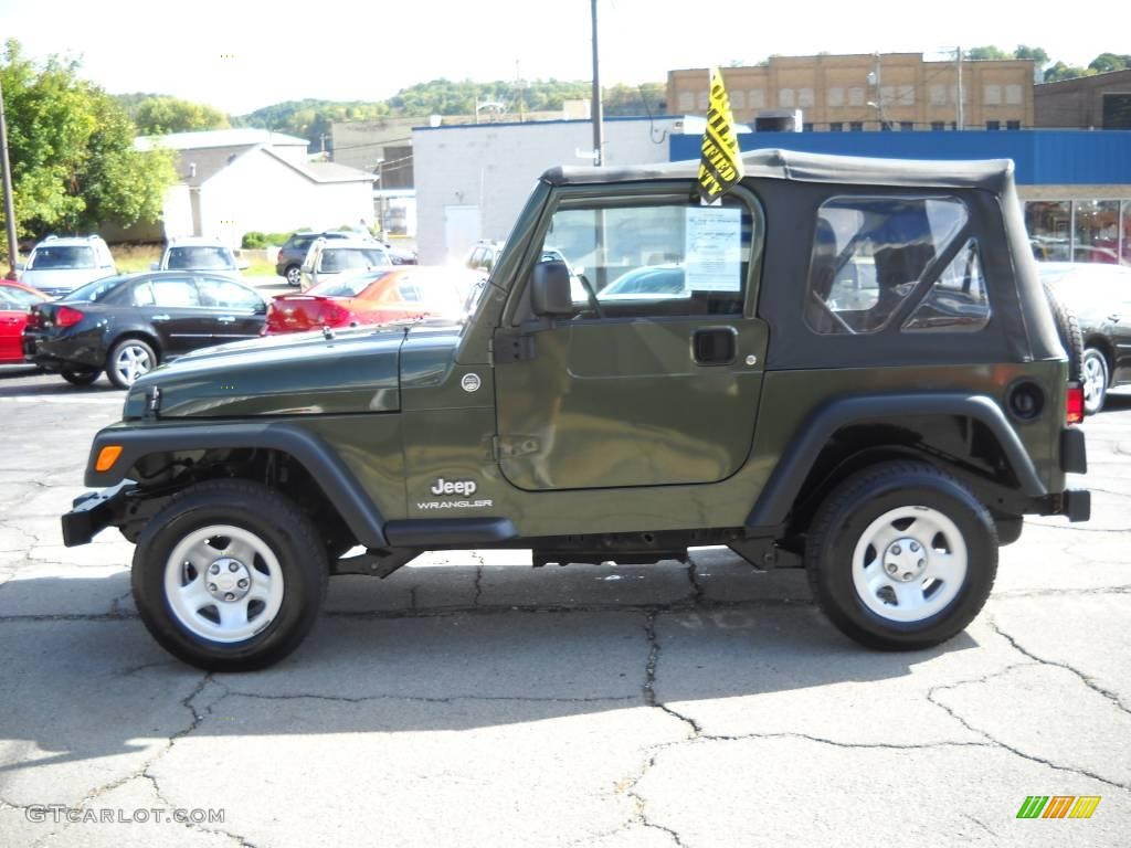 2006 Wrangler SE 4x4 - Jeep Green Metallic / Dark Slate Gray photo #5