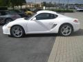 2010 Carrara White Porsche Cayman S  photo #7