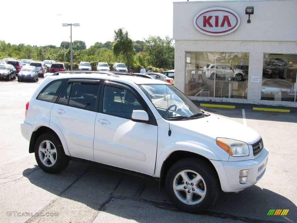 2002 RAV4 4WD - Natural White / Gray photo #1