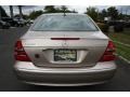 Desert Silver Metallic - E 350 4Matic Sedan Photo No. 7