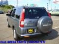 Pewter Pearl - CR-V SE 4WD Photo No. 2