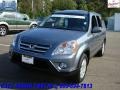 2006 Pewter Pearl Honda CR-V SE 4WD  photo #3