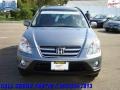 2006 Pewter Pearl Honda CR-V SE 4WD  photo #4