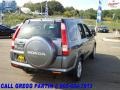 2006 Pewter Pearl Honda CR-V SE 4WD  photo #7