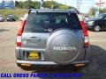 2006 Pewter Pearl Honda CR-V SE 4WD  photo #8