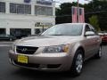 Golden Beige - Sonata GLS Photo No. 1