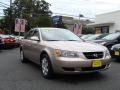 Golden Beige - Sonata GLS Photo No. 3