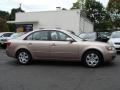 Golden Beige - Sonata GLS Photo No. 4