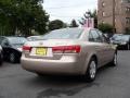 Golden Beige - Sonata GLS Photo No. 5