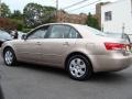 Golden Beige - Sonata GLS Photo No. 8