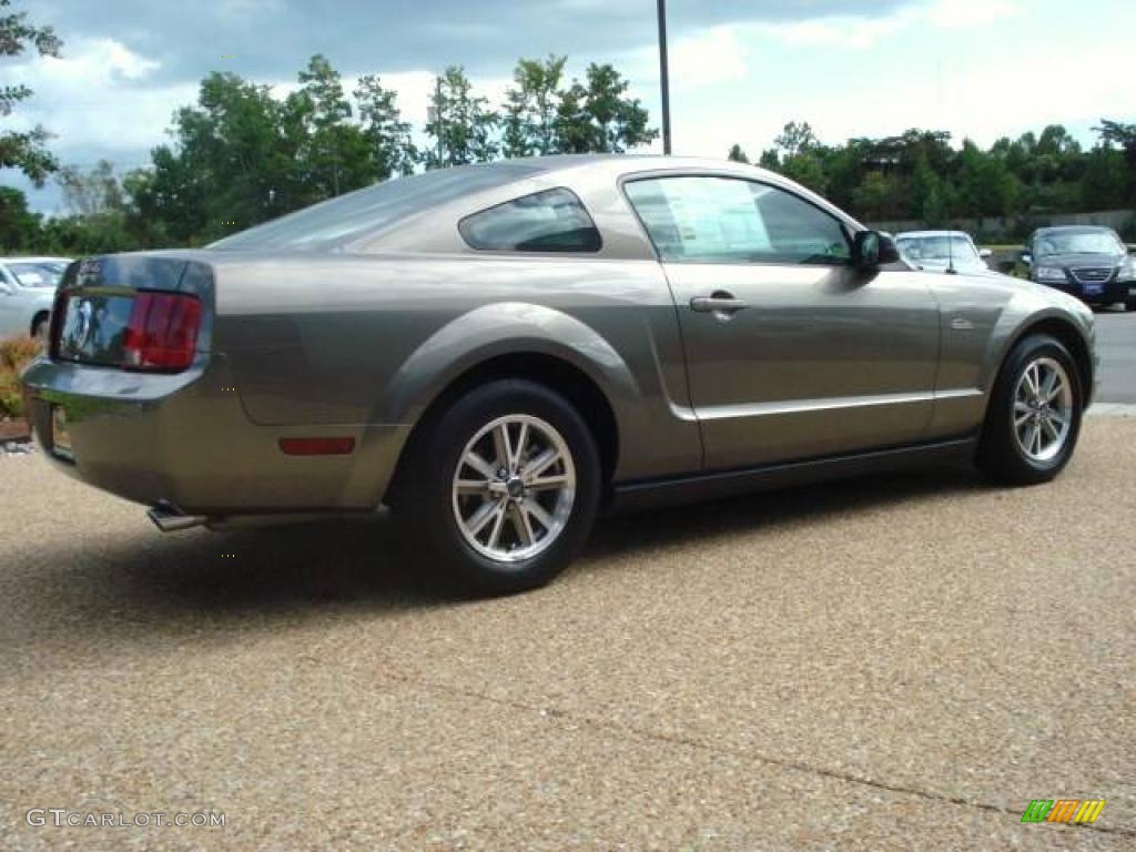 2005 Mustang V6 Deluxe Coupe - Mineral Grey Metallic / Dark Charcoal photo #6