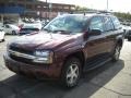 2006 Bordeaux Red Metallic Chevrolet TrailBlazer LS 4x4  photo #18