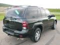 2006 Black Chevrolet TrailBlazer LS 4x4  photo #14