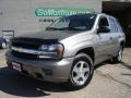 Graystone Metallic - TrailBlazer LS Photo No. 1