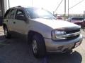 Graystone Metallic - TrailBlazer LS Photo No. 7