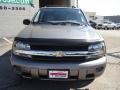 Graystone Metallic - TrailBlazer LS Photo No. 8