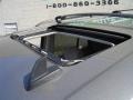 Graystone Metallic - TrailBlazer LS Photo No. 10