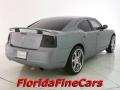 Silver Steel Metallic - Charger  Photo No. 2