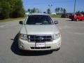 2008 Light Sage Metallic Ford Escape XLT V6  photo #2