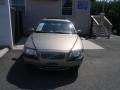 Ash Gold Metallic - S80 2.9 Photo No. 1