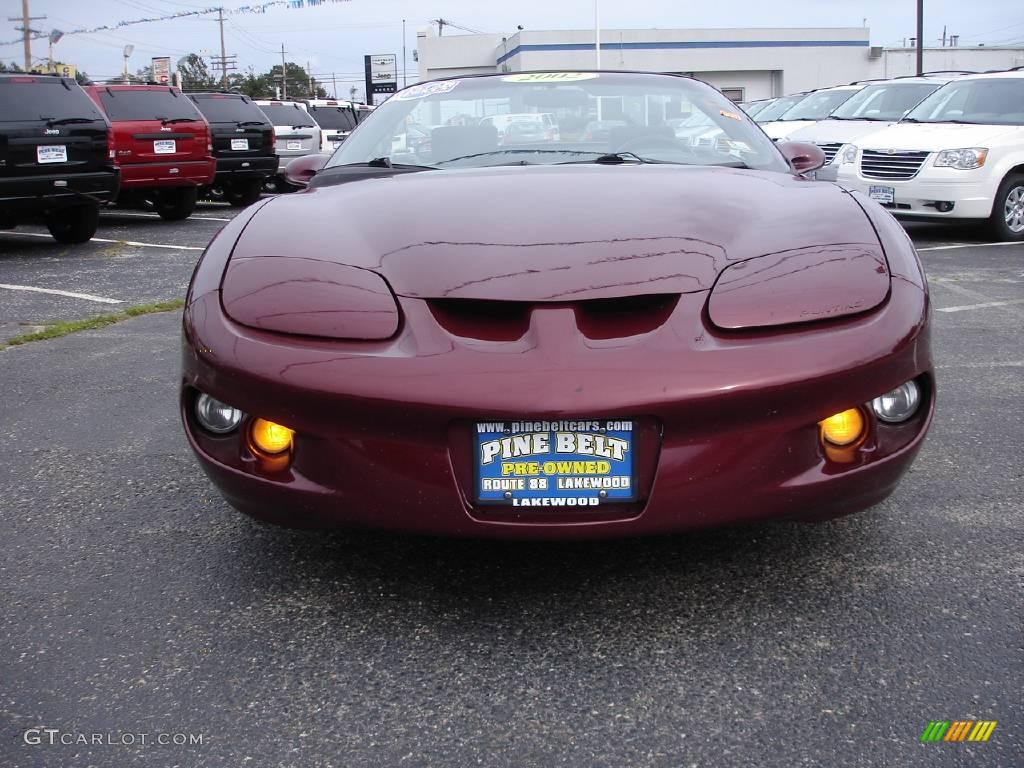 2002 Firebird Convertible - Maple Red Metallic / Ebony Black photo #6