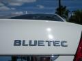 Arctic White - E 320 BlueTEC Sedan Photo No. 10