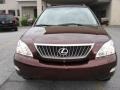 2008 Brandywine Mica Lexus RX 350  photo #3