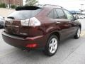 2008 Brandywine Mica Lexus RX 350  photo #7