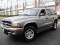 2001 Light Pewter Metallic Dodge Durango SLT 4x4  photo #1