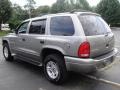 Light Pewter Metallic - Durango SLT 4x4 Photo No. 4
