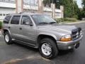 2001 Light Pewter Metallic Dodge Durango SLT 4x4  photo #8