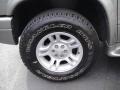 Light Pewter Metallic - Durango SLT 4x4 Photo No. 9