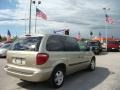 Linen Gold Metallic - Caravan SXT Photo No. 3