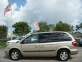 Linen Gold Metallic - Caravan SXT Photo No. 8