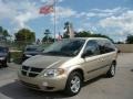 Linen Gold Metallic - Caravan SXT Photo No. 9