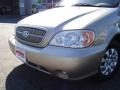 2004 Silky Beige Kia Sedona LX  photo #9