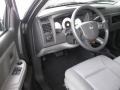 2010 Mineral Gray Metallic Dodge Dakota Big Horn Extended Cab  photo #10