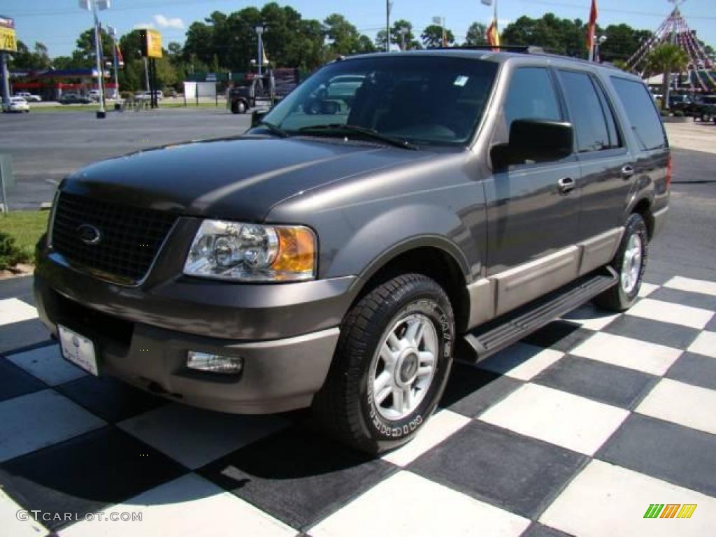 2003 Expedition XLT 4x4 - Dark Shadow Grey Metallic / Flint Grey photo #2