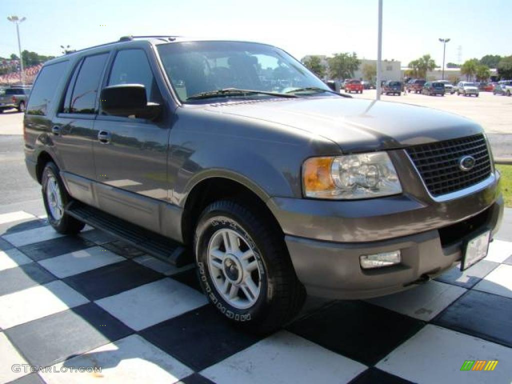 2003 Expedition XLT 4x4 - Dark Shadow Grey Metallic / Flint Grey photo #4
