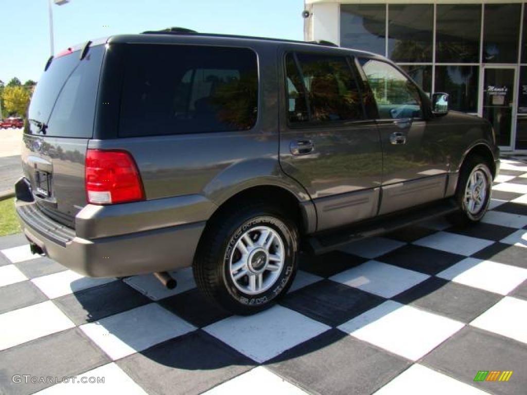 2003 Expedition XLT 4x4 - Dark Shadow Grey Metallic / Flint Grey photo #8