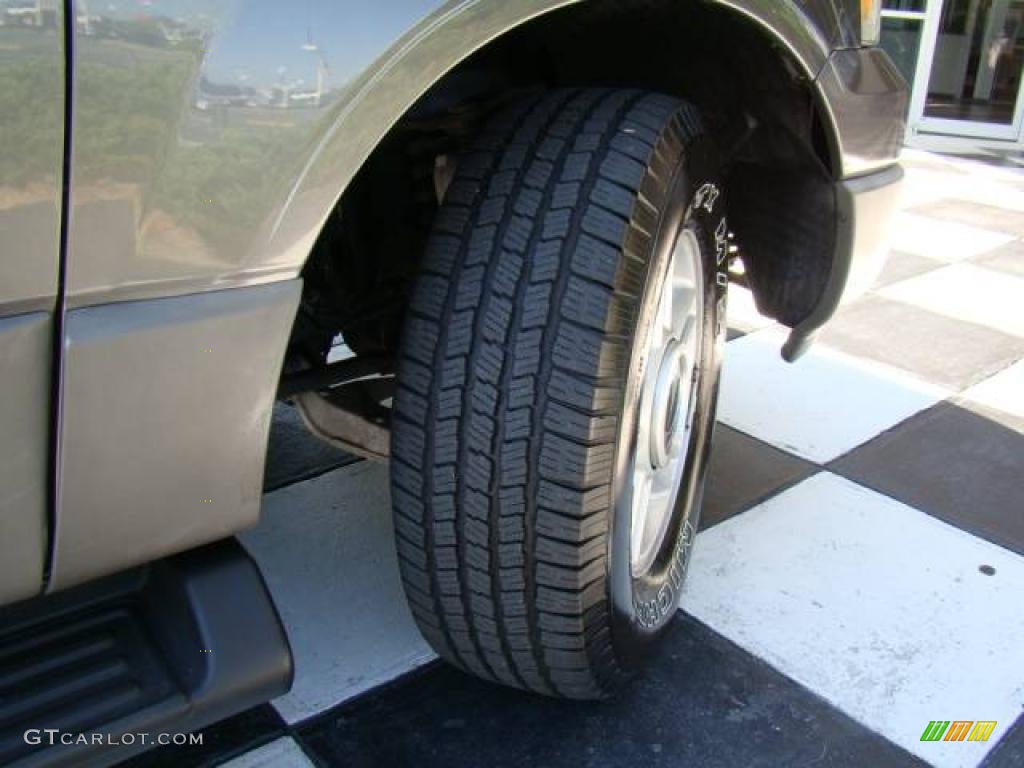 2003 Expedition XLT 4x4 - Dark Shadow Grey Metallic / Flint Grey photo #22