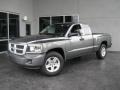 2010 Mineral Gray Metallic Dodge Dakota Big Horn Extended Cab  photo #1