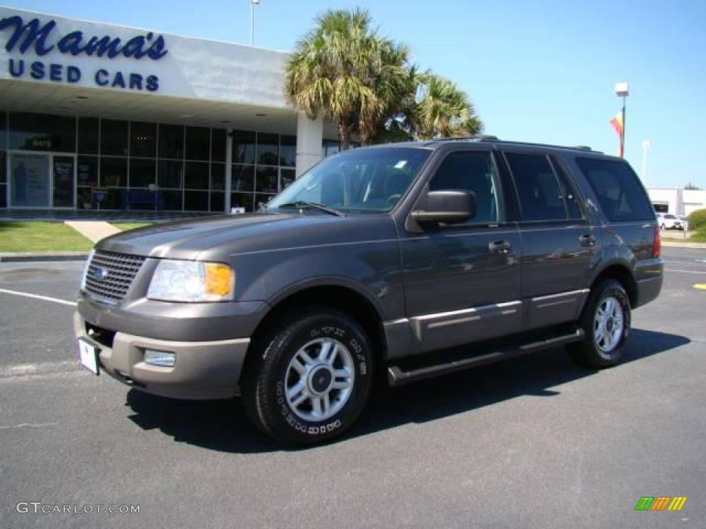 2003 Expedition XLT 4x4 - Dark Shadow Grey Metallic / Flint Grey photo #34